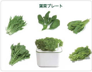 手順
