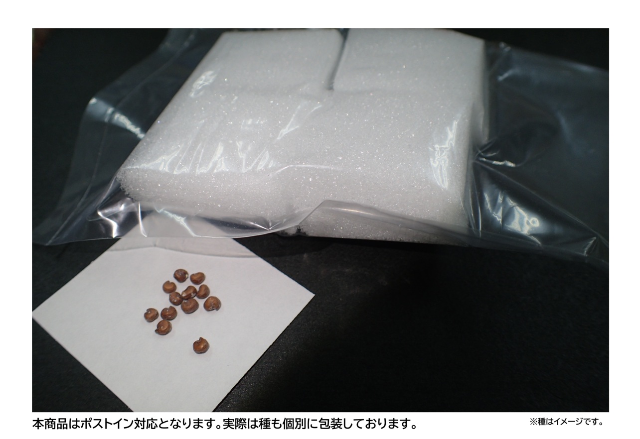 内容物イメージ